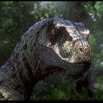 Profile Picture of Bradley Alfonso (@bradley.alfonso01) on Instagram