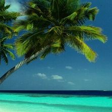 Profile Picture of Jacy Holsworth (@xuberated7) on Pinterest