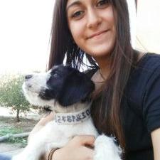 Profile Picture of Sara Corda (@saracorda00) on Twitter