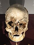 Profile Picture of Cheddar Manon Wikipedia