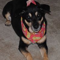 Profile Picture of Gerald Alexander (@gerald-alexander-3) on Quora