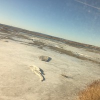 Profile Picture of Samuel Sore (@samuel-sore) on Quora