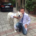 Profile Picture of Steven Mudge (@persemsky) on Instagram