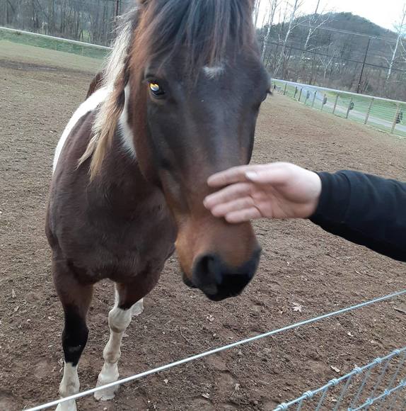 Profile Picture of Cleveland Steamer (@devowp2015) on Poshmark