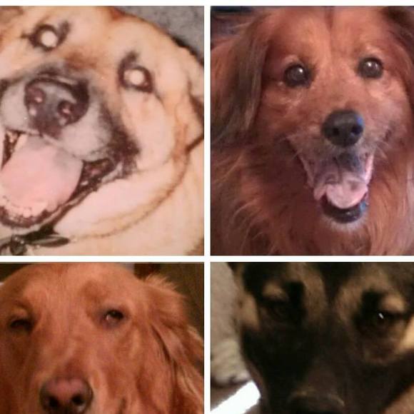 Profile Picture of Joanne Bajt (@copper1972) on Poshmark