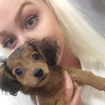 Profile Picture of Amy Kalbfleisch (@amy.kalbfleisch) on Instagram