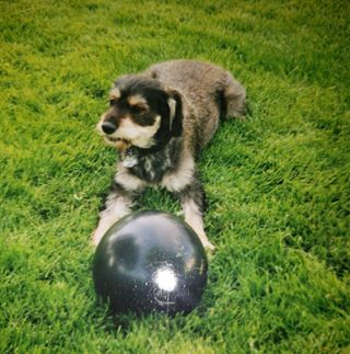 Profile Picture of Dennis Machnik (@dennis.machnik.1) on Facebook