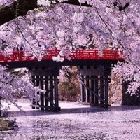 Profile Picture of Julia Trahan (@julia-trahan-2) on Quora