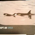 Elizabeth Paxton -paxton - Instagram Profile Picture of Elizabeth Paxton -paxton (@libbychill) on Instagram