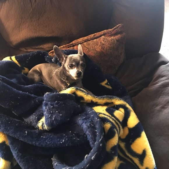 Profile Picture of Christy Fletcher (@cfletcher1968) on Poshmark