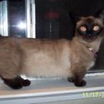 Profile Picture of Julie Hemphill Miller (@julie__hemphill_miller) on Instagram