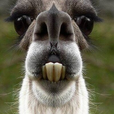 Profile Picture of Joe A Abernathy (@JoeAAbernathy) on Twitter