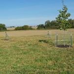 Profile Picture of Kyle Olsen (@kyle.olsen_32) on Instagram