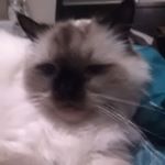 Profile Picture of Joseph Speer (@joseph.speer.3975) on Instagram