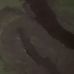 Profile Picture of La Guera Culos (@laguera.culos) on Facebook