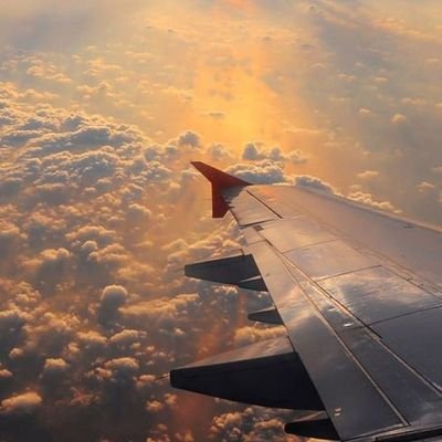 Profile Picture of Zoë (@ZoCarpentier2) on Twitter