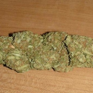 Profile Picture of Richard Kettell (@doughniedude) on Myspace