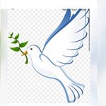 Profile Picture of Kushimo Abdul Malik (@soborichie_neverlack) on Instagram