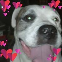 Profile Picture of Jimmy Yarbrough (@jimmy-yarbrough-4) on Quora