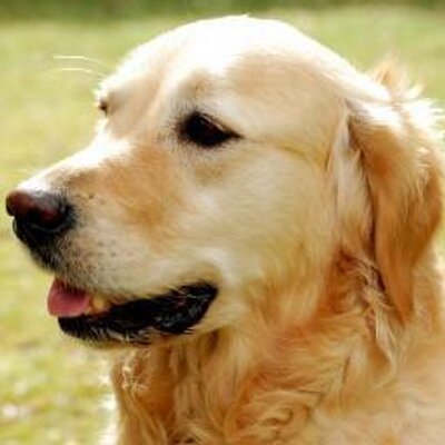 Profile Picture of LILIAN ESTER CANO GU (@lestercano08) on Twitter