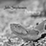 Profile Picture of John Stephenson (@John Stephenson Photography) on Flickr