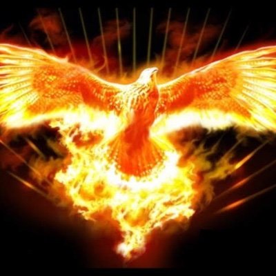 Profile Picture of Gabriel Yeung (@GabrielYeung4) on Twitter