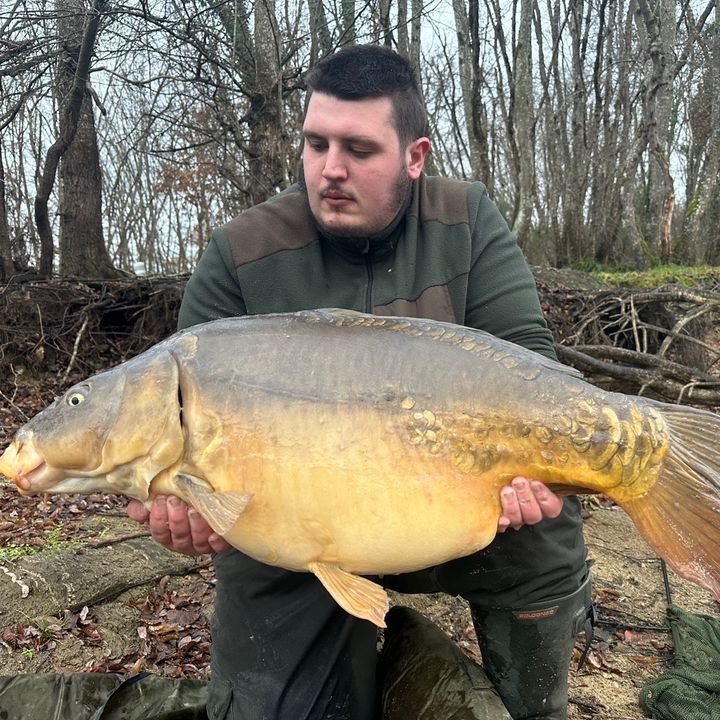 Profile Picture of William Acr (@williamacr) on Tiktok