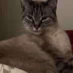 Profile Picture of Susan Capps (@susan.kapps.5) on Facebook