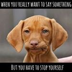 Profile Picture of Meg Haynes (@meg.haynes.750) on Instagram