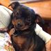 Profile Picture of Rick Clouse (@rick.clouse.75) on Facebook