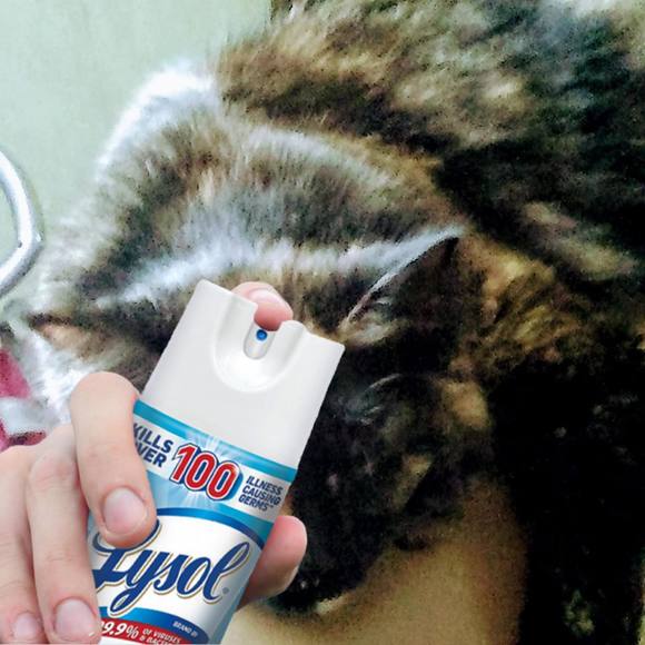 Profile Picture of Audrey Gann (@hopegann) on Poshmark