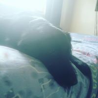 Profile Picture of Samuel Wilkes (@samuel-wilkes-12) on Quora