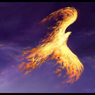 Profile Picture of Mckay Arnold (@MckayArnold) on Twitter