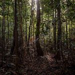 Profile Picture of Mike Talladen | Wedding Photo (@jungleweddings) on Instagram