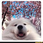 Profile Picture of Sabastian Brown (@seabass9002) on Instagram