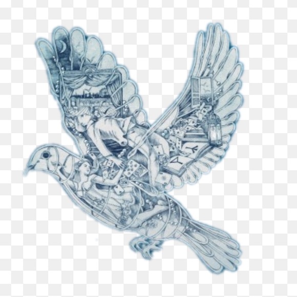 Profile Picture of David Morales (@papimor) on Poshmark