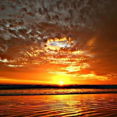 Profile Picture of Serendib (@SherrillPeters8) on Twitter