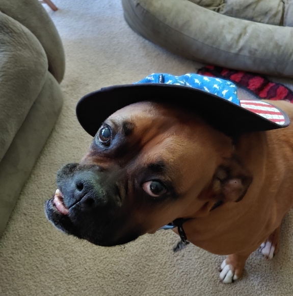 Profile Picture of Roxanne Mcune talbot (@ahmileena) on Poshmark