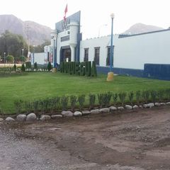 Profile Picture of wilmarvlademiryan (@wilmarvlademiryan) on Tiktok