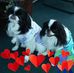 Profile Picture of Frank Arena (@frank.arena.7798) on Facebook