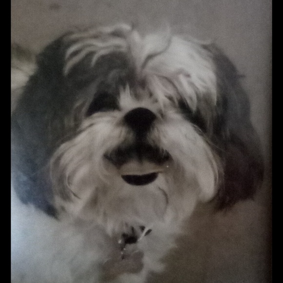 Profile Picture of Cara Abdoo (@sublimeaz) on Poshmark