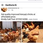 Edwin Gathua - Facebook Profile Picture of Edwin Gathua (@Edwin-Gathua) on Facebook