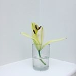Profile Picture of Paula Creevy (@dailylovelectures) on Instagram
