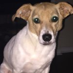 Scott Reynolds - Instagram Profile Picture of Scott Reynolds (@scottbrey) on Instagram