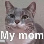 Profile Picture of Marsha Bunner (@marsha.bunner.7) on Facebook