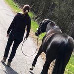 Julia Hillebrand - Instagram Profile Picture of Julia Hillebrand (@juliahillebrand) on Instagram