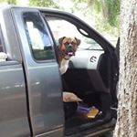 Profile Picture of Stephen Furlong (@s_furball) on Instagram