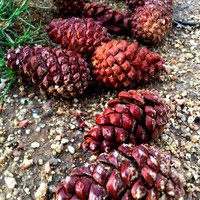 Profile Picture of Julian Garcia (@julian-garcia-36) on Quora