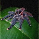 UmnikovCasimir - Instagram Profile Picture of UmnikovCasimir (@sankovjgamerxandrew) on Instagram