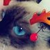 Profile Picture of Imogene Holmes (@Imogene-Holmes) on Facebook